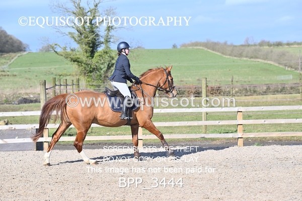 BPP_3444 - CLASS 4 Senior British Novice/ 90cm Open
