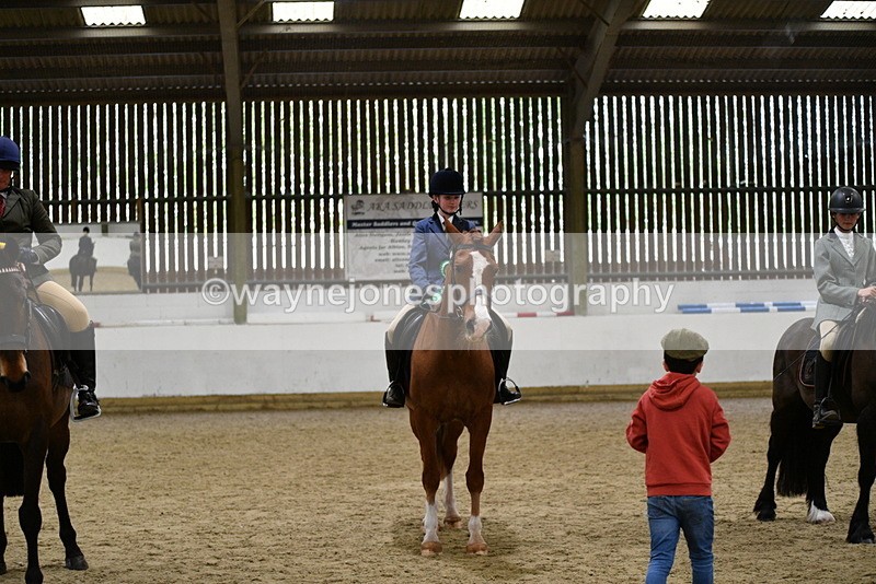 WJ5_8080 - Class 13 Ridden Part Breed