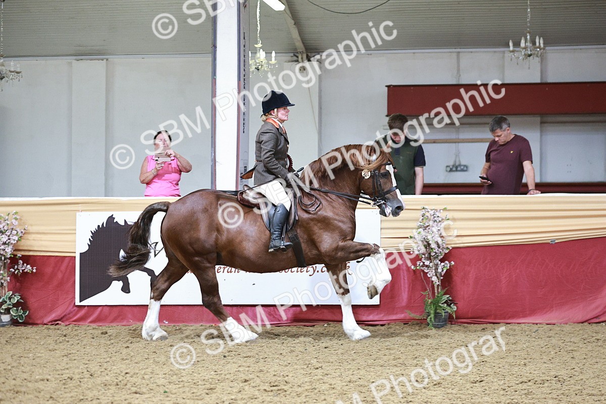 SBM_08656 - Regional Ridden Champ