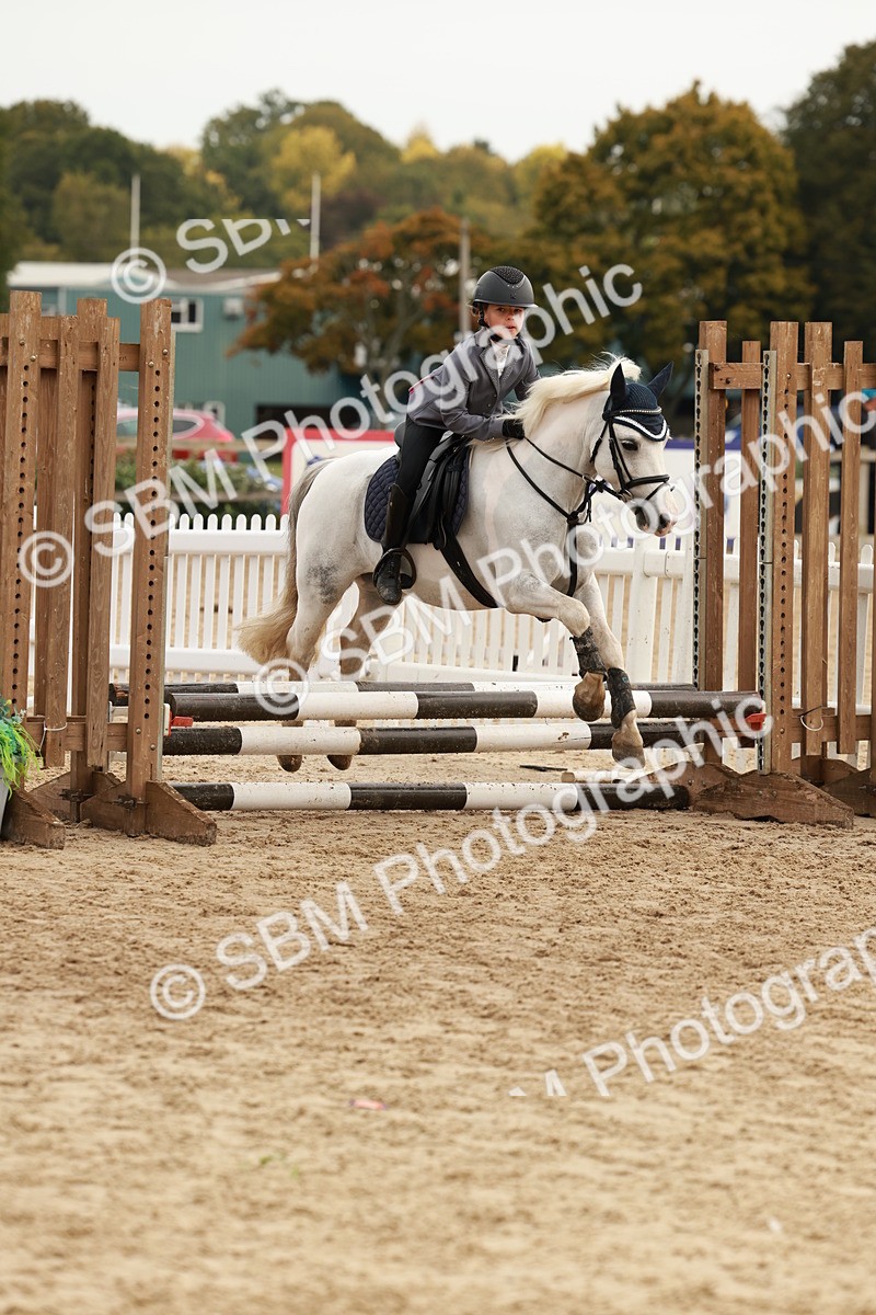SBM_57753 - J11 - Junior Pony 50cm Championship