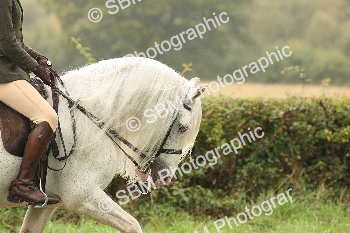 SBM_72673 - S70 - Traditional Cob Ridden
