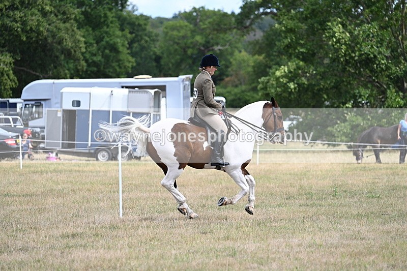 WJ7_5600 - Class 12 Ridden Cob
