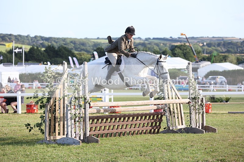 JPP_3382 - Class 22: Working Hunter 90cm