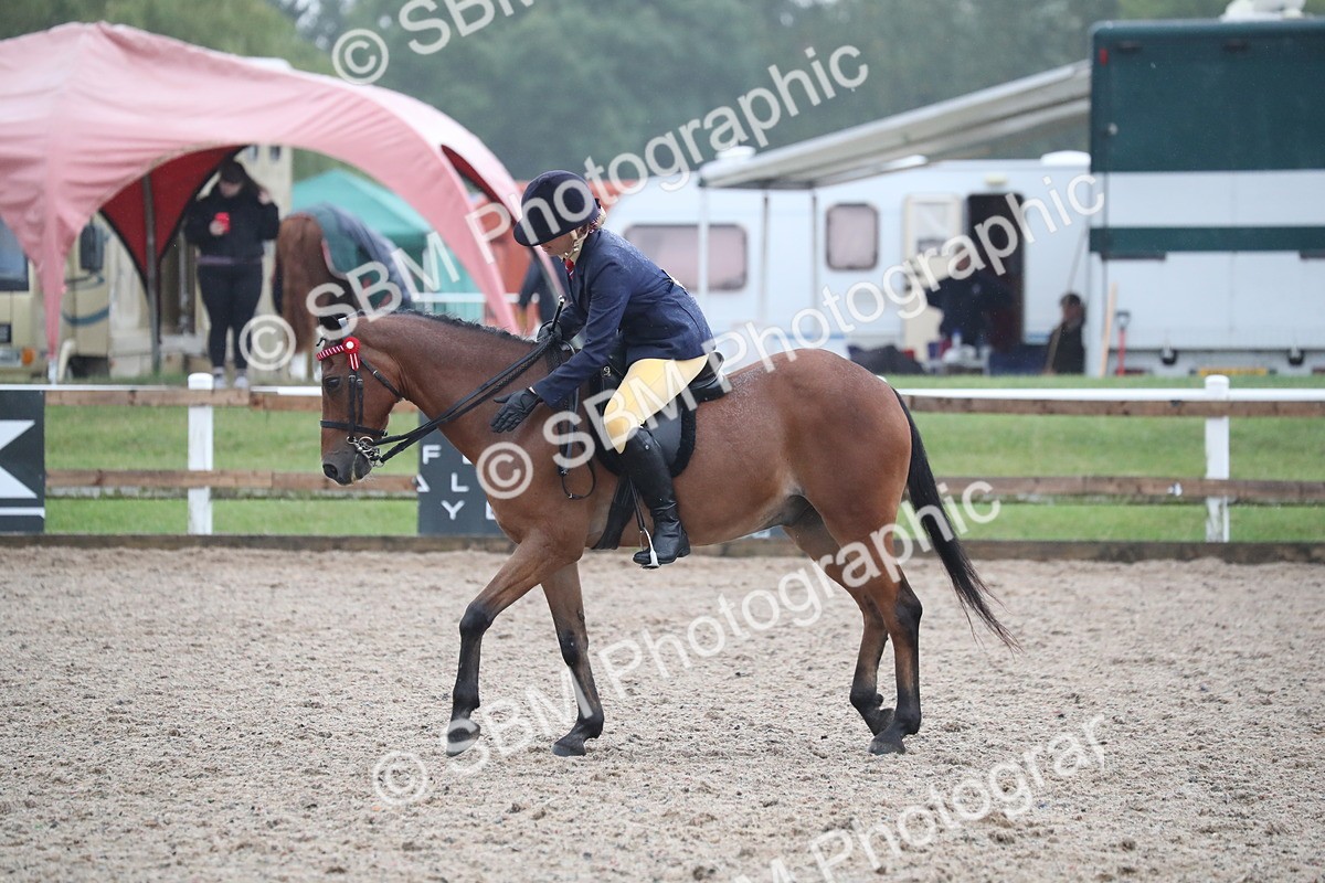 SBM_20475 - Class 601 - 2025 Area - Ridden Diamond