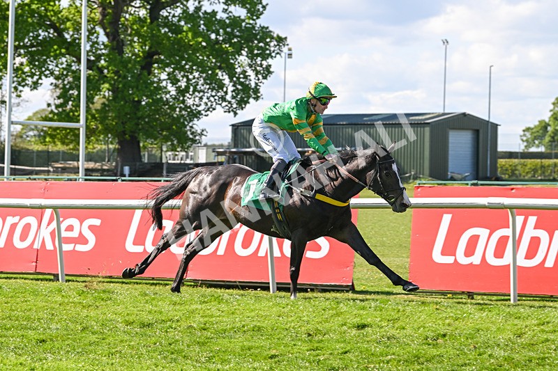 030525-Race 5-Savrola-3249 - Race 5