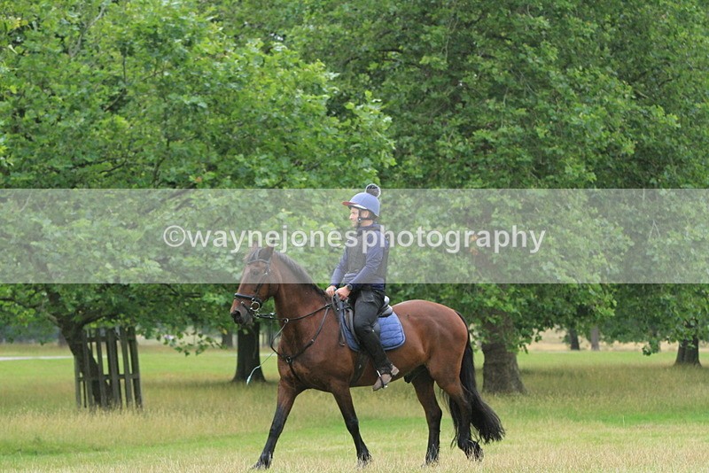 IMF_1760 - Time at Castle Jump 10:15 to 11:19