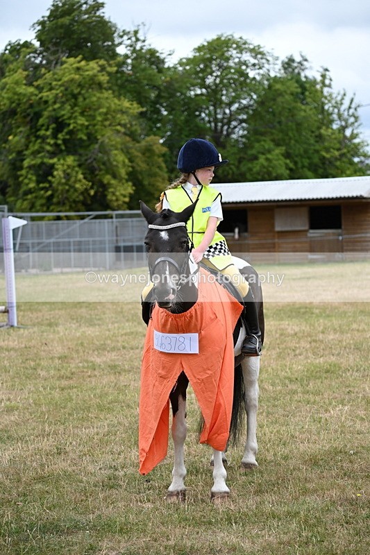 WJ6_4925 - Class 11 Fancy Dress