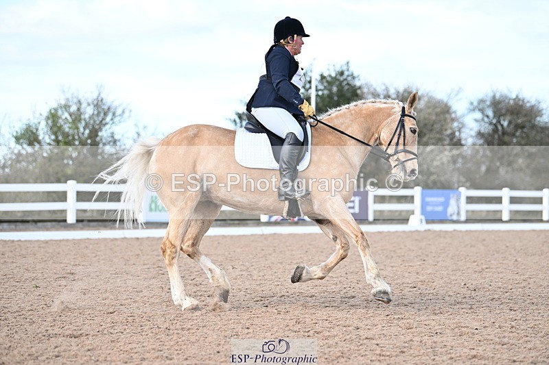 240324A-133950-03461 - Novice 28, 13.00 to 14.00