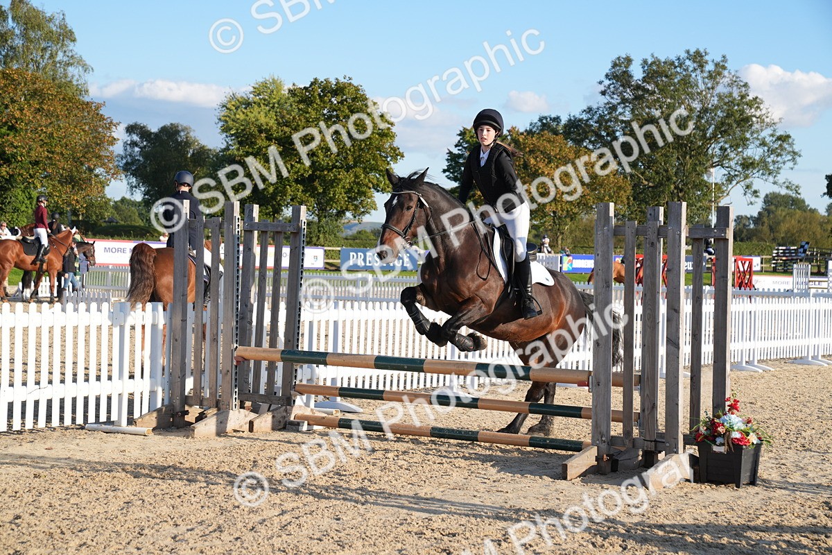 SBM_30041 - J44 - Super Speedy Scurry Open - 70cm