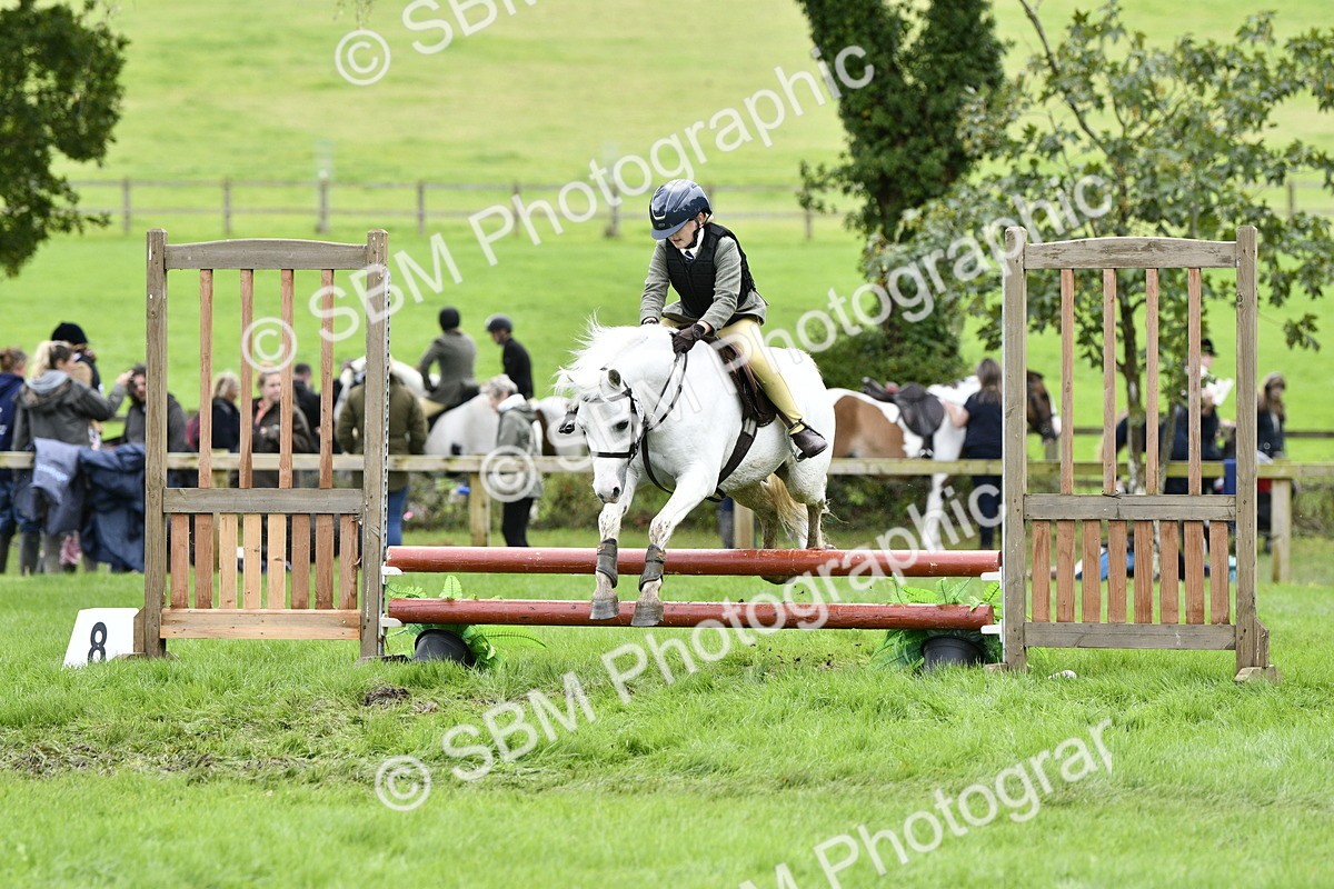 SBM_41289 - S32 - Mountain & Moorland Working Hunter Pony