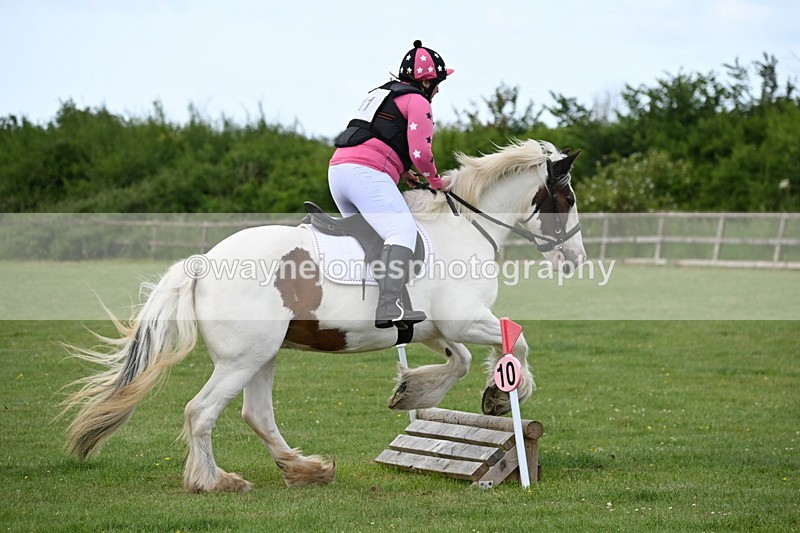 WJ6_2528 - Class 2 40cm