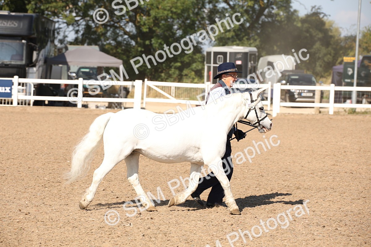 SBM_02689 - Class 16 IH M&M Wildcard