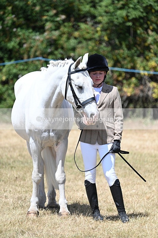 WJ7_2197 - Class 5 Most Handsome Gelding (up to 14.2hh) in hand