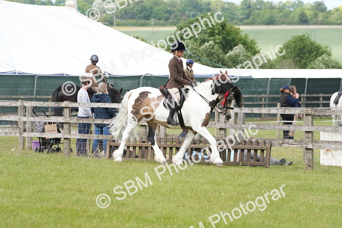 SBM_17629 - Class 107-108 - LIHS BSPS Performance Coloured Horse Pony