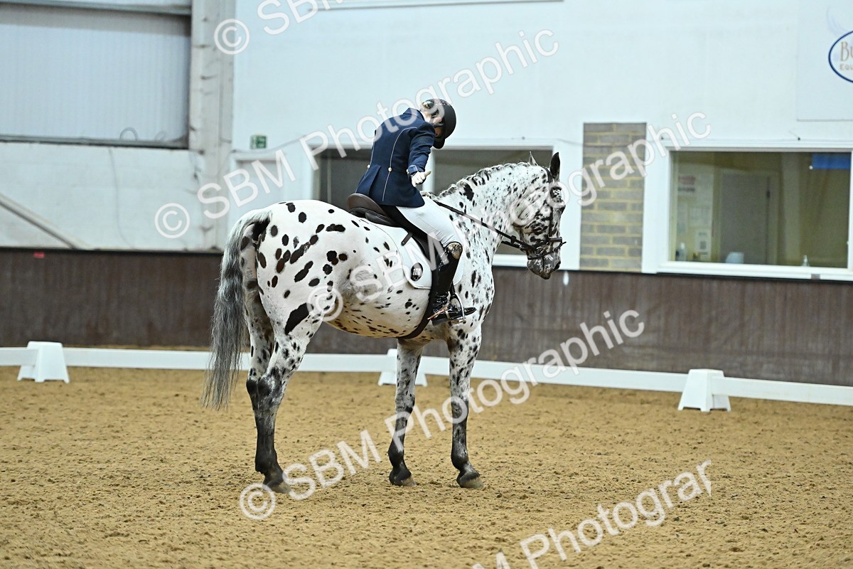 SBM_007519 - Class 81 - Novice 3