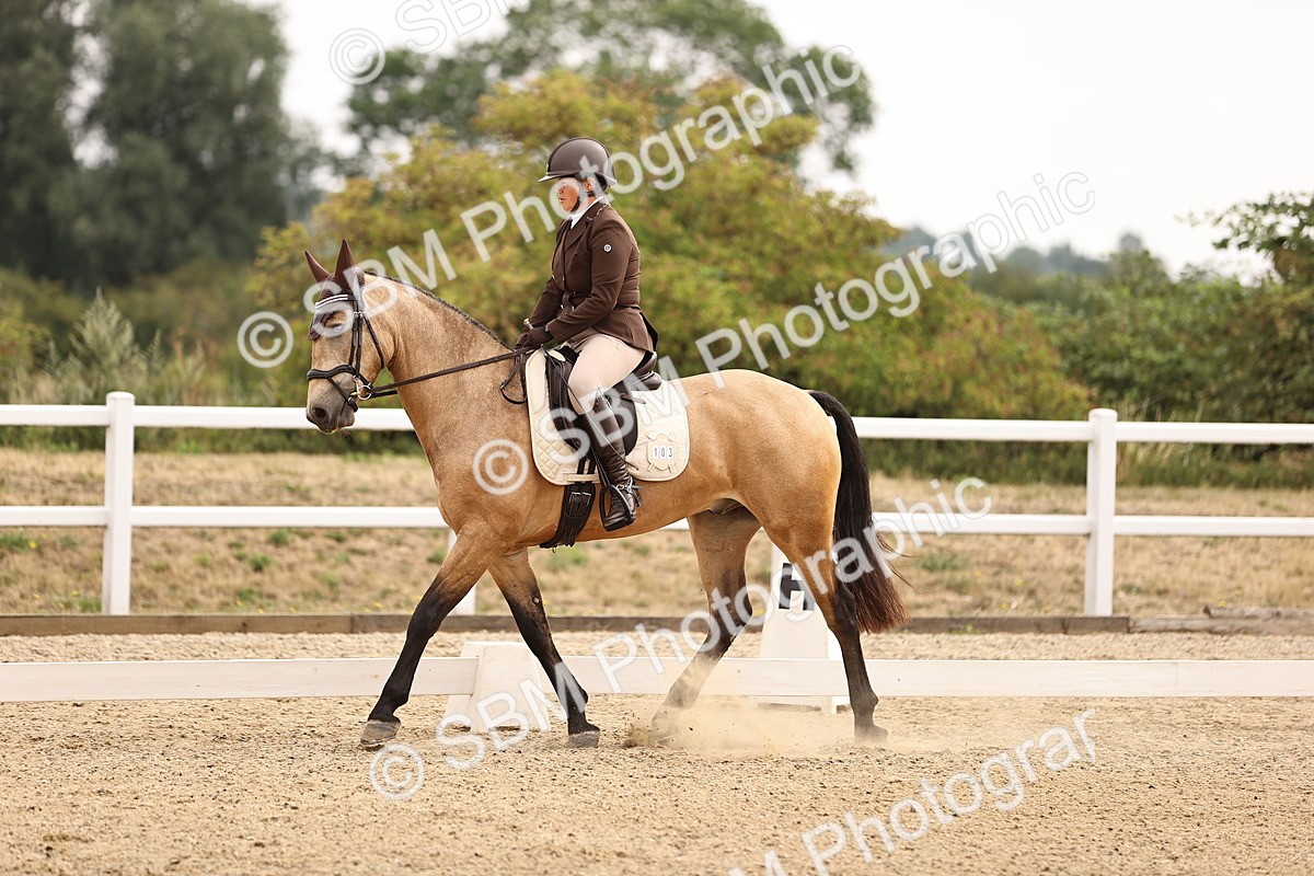 SBM_006439 - Intro 3 - 9.46-10.46