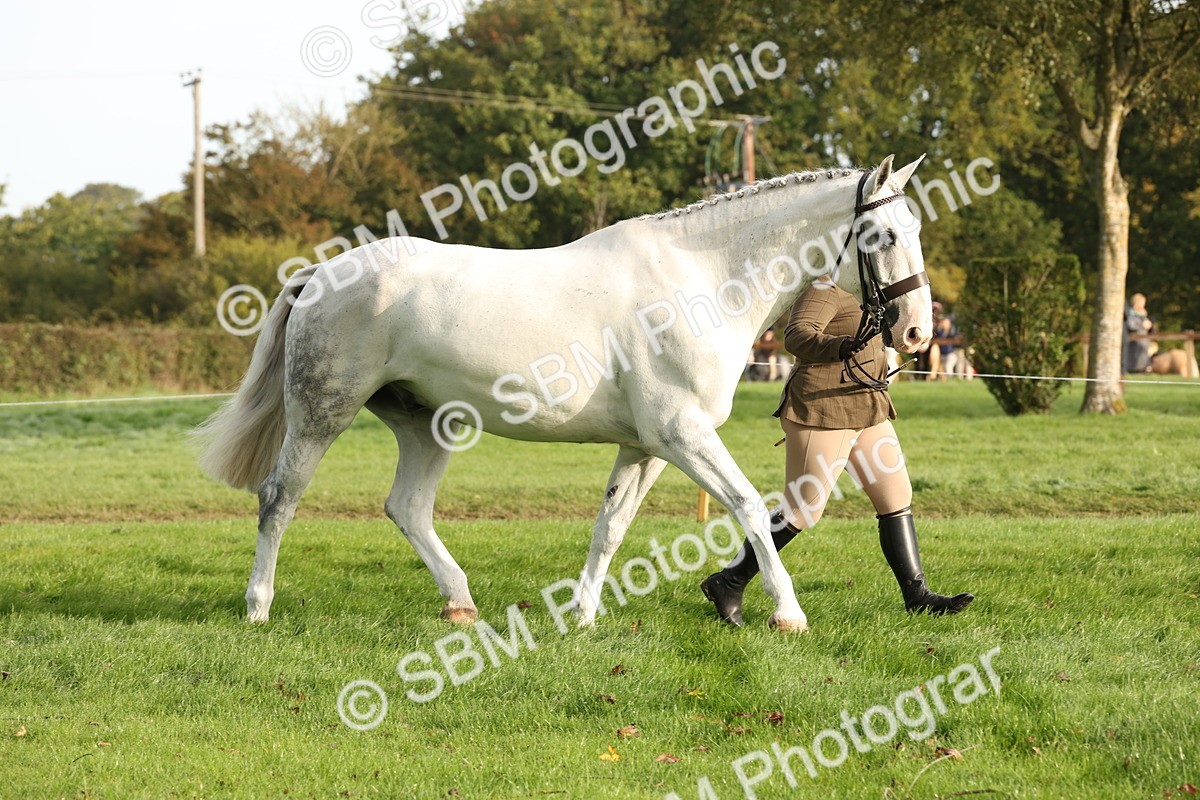 SBM_54680 - S53 - Hunter In Hand