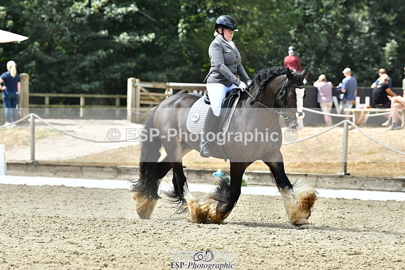 260801A-121555-03866 - Prelim SIlver Break - End