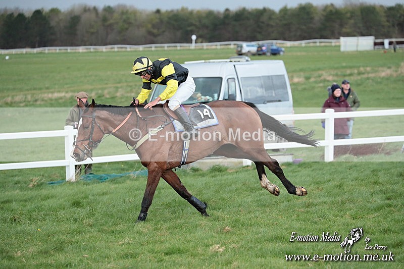 PtP 230324 888 - Tedworth Hunt PtP Larkhill Raccourse 23rd March 2024