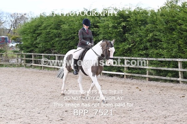 BPP_7521 - RING 1  (RIDDEN HORSES / IN HAND / VETERAN ETC)