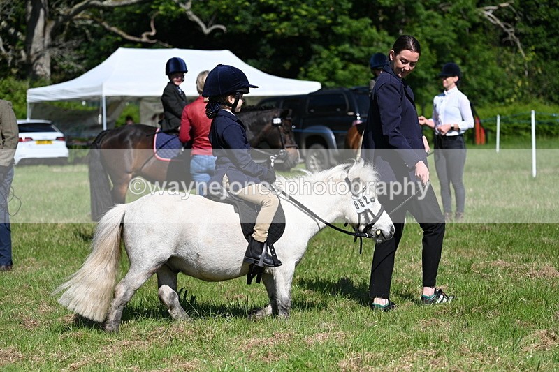 WJ7_0540 - Class 8 First Rally Pony