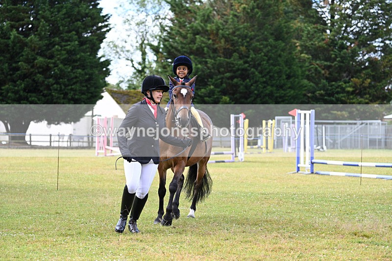 WJ7_4594 - Class 1 Lead Rein Pony