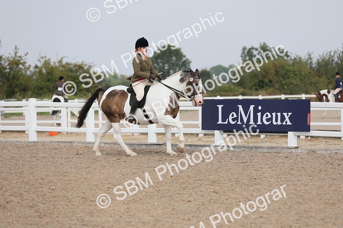 SBM_12689 - Class 307 Ridden Coloured Pony