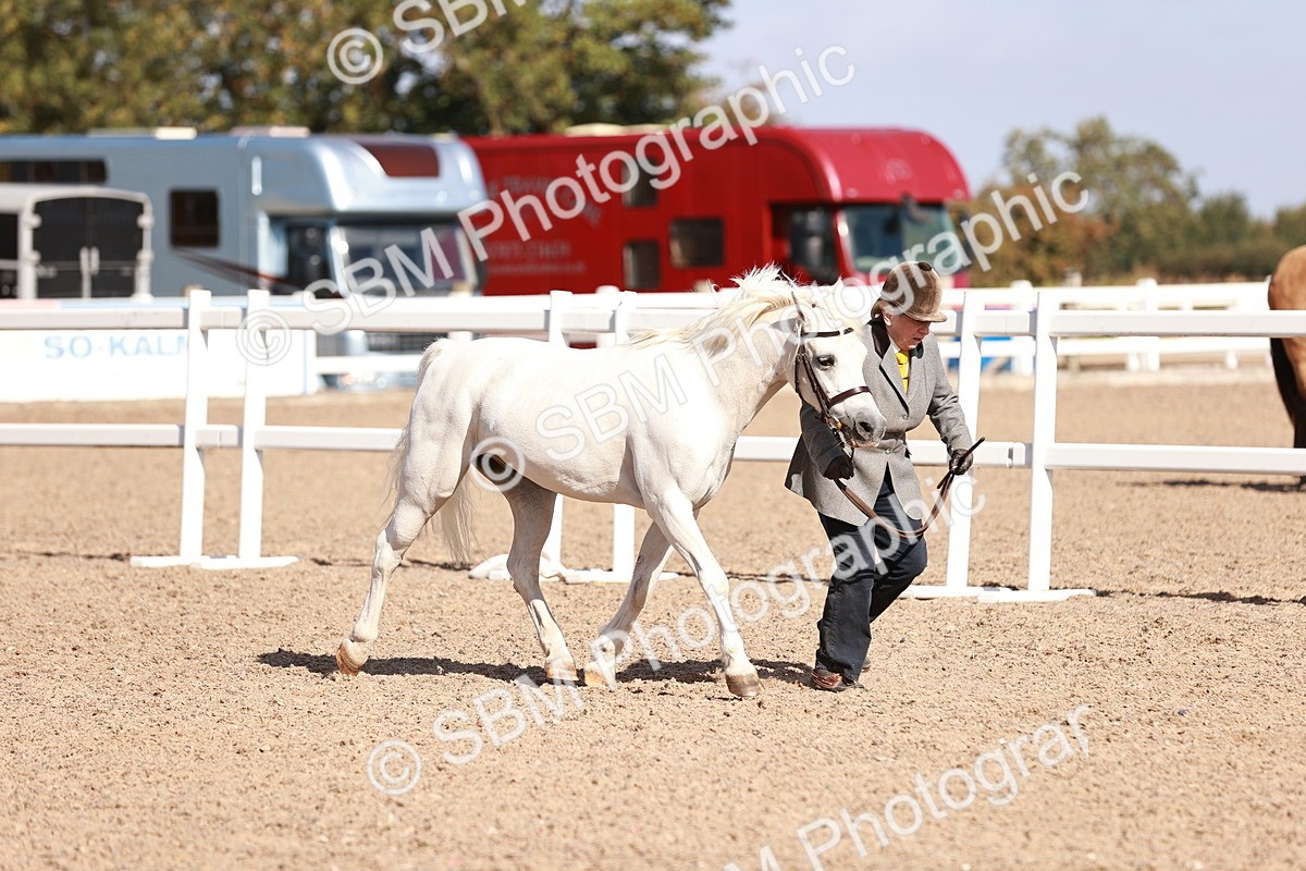 SBM_22785 - Class 705 - IH Combination 65+