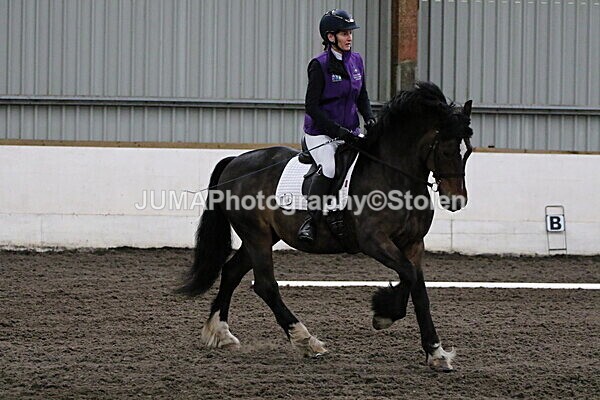 SIAL3768 - CAbin Dressage 5th july 2025