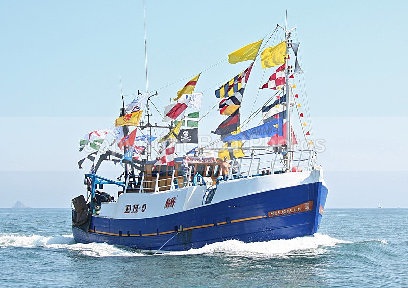 060617 VALHALLA BH-9 IMG_9463 - BRIXHAM TRAWLER RACE 2006