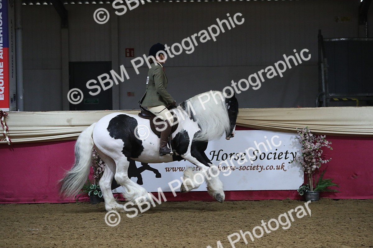 SBM_10386 - Class 102 Equitation (best rider) Adult