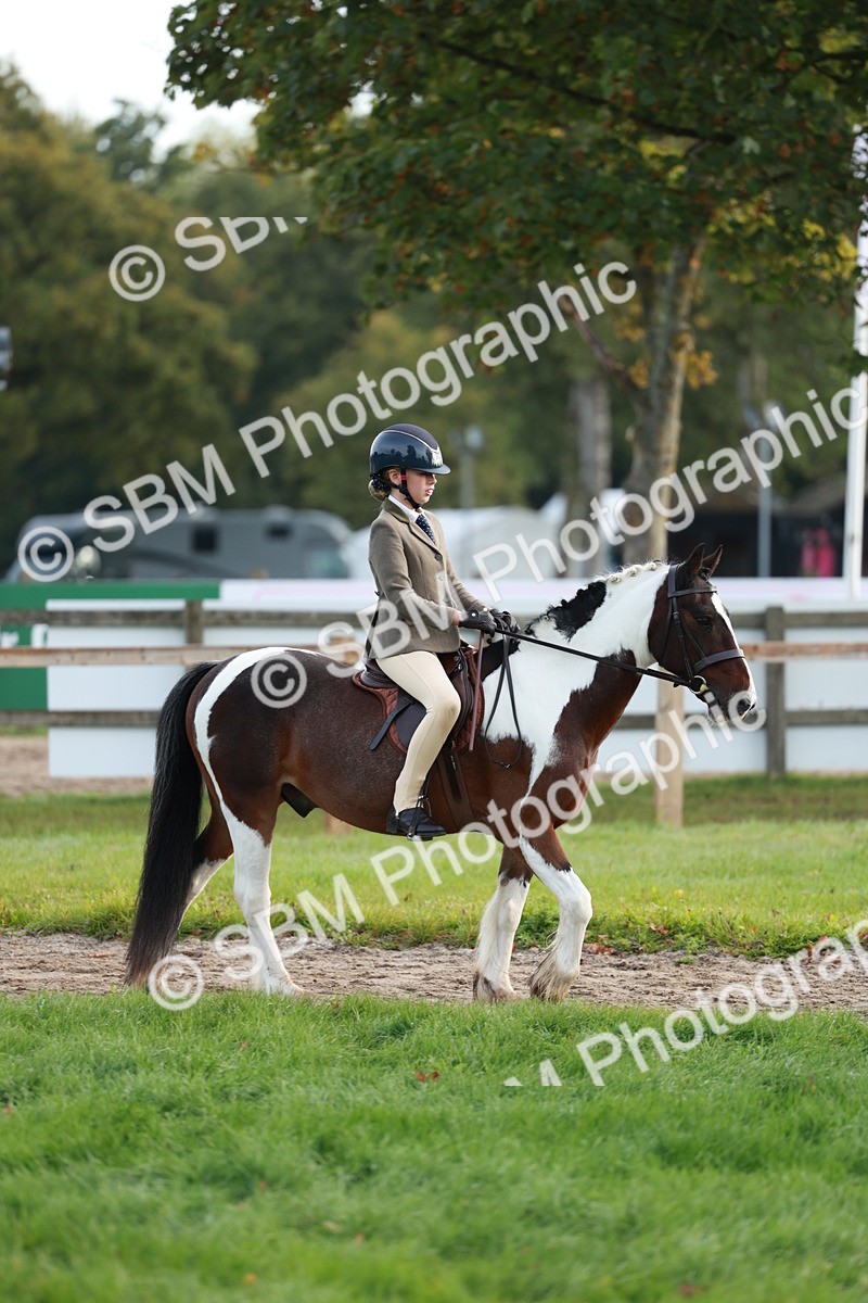 SBM_56285 - S39 - Starters In Hand Showing