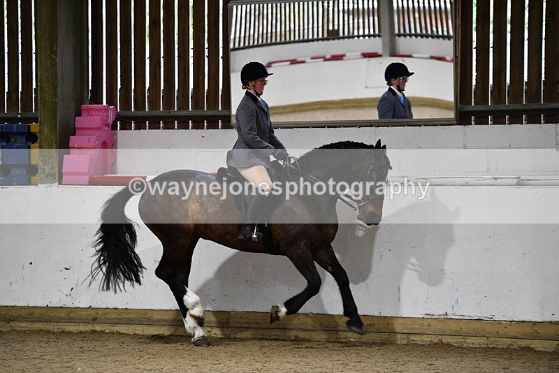 WJ5_8880 - Class 15 Ridden Show Horse
