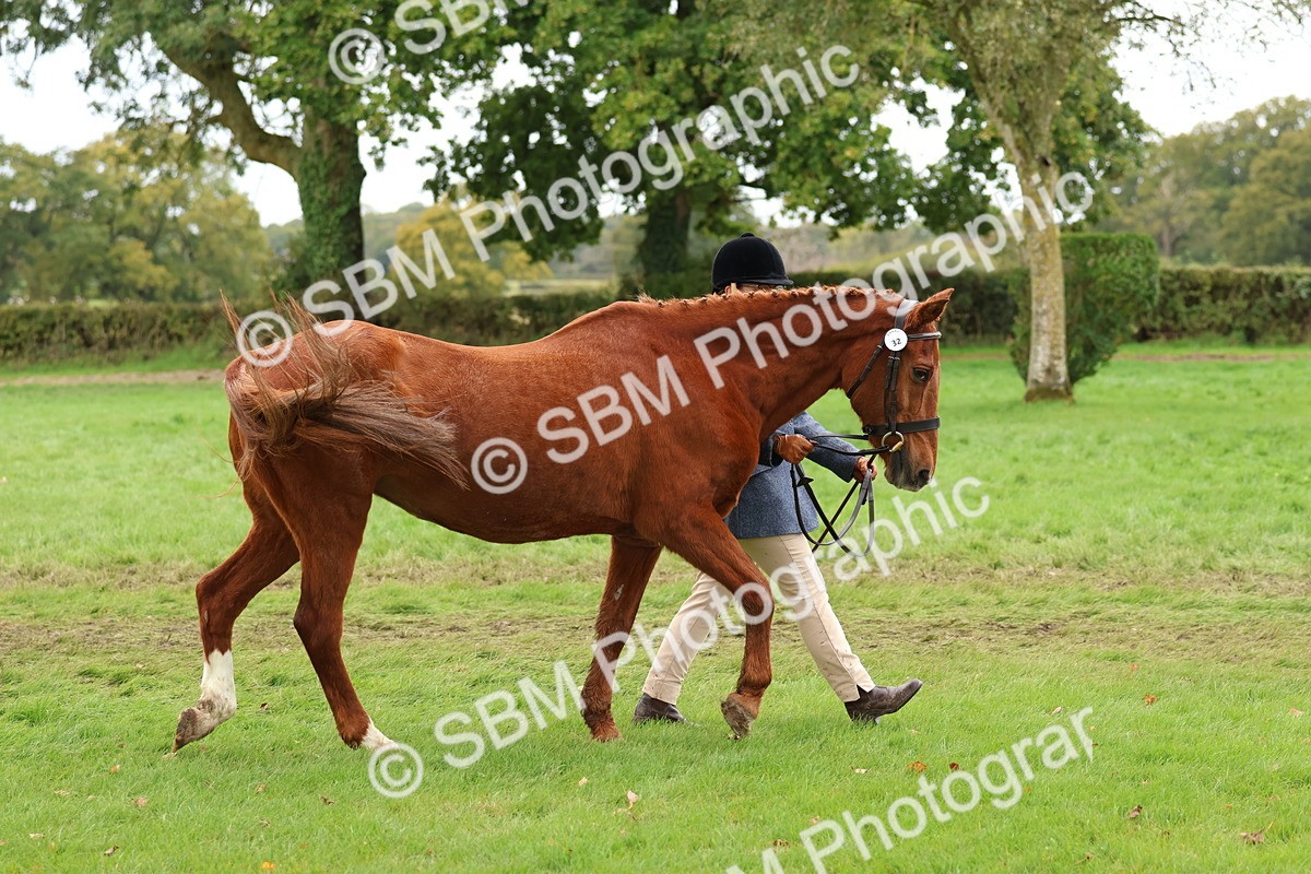 SBM_41694 - S26 - Mature Veteran In Hand
