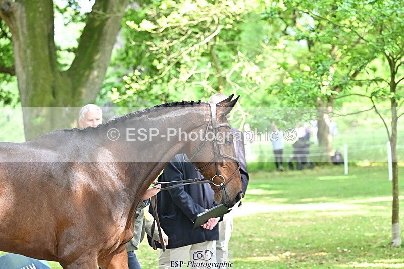 250521A-151553-00384 - B-355-Andrew.James-PRIMITIVE.PROPOSITION