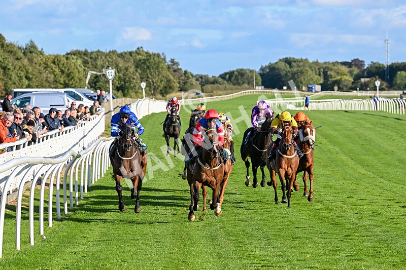 100924-Race 7-Desert Dream-0685 - Race 7