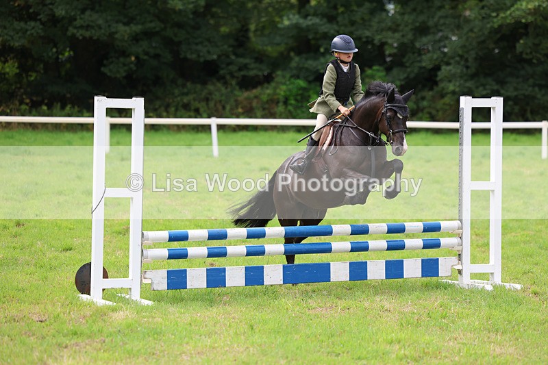 3E7A5463 - Class 1: 60cm Juniors and Seniors