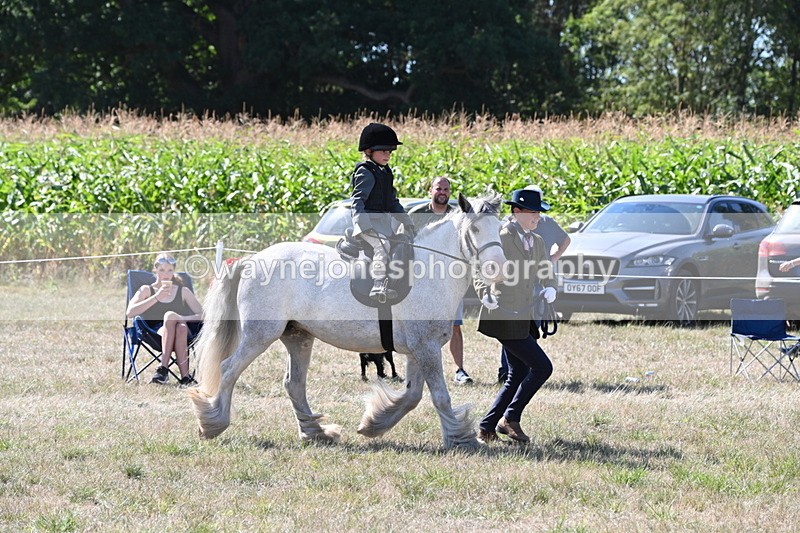 WJ6_7917 - Class 36 Lead Rein
