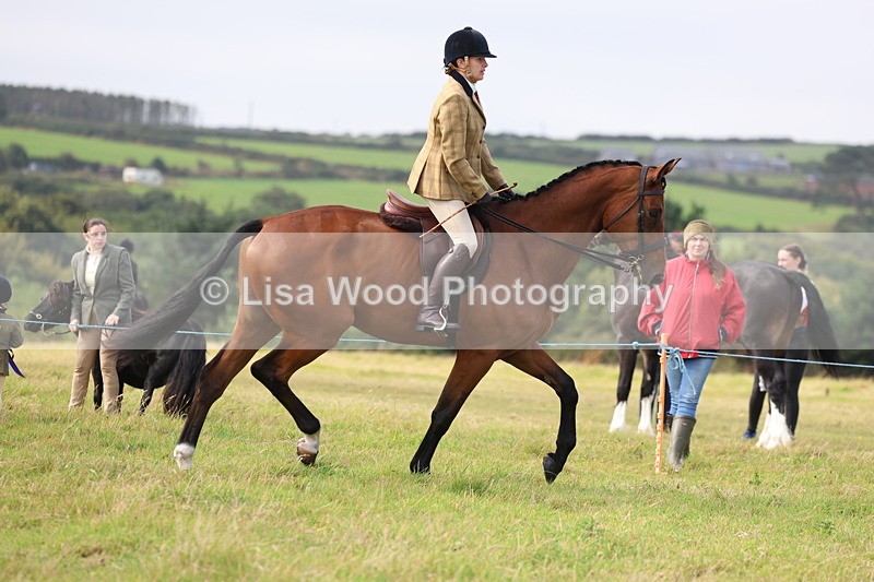 3E7A3914 - Class 4: Best Combination Open