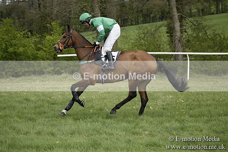 PtP 170417 139 - Old Berks Point-to-Point Lockinge 17/04/17