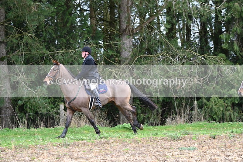 WJ6_9747 - Line Four