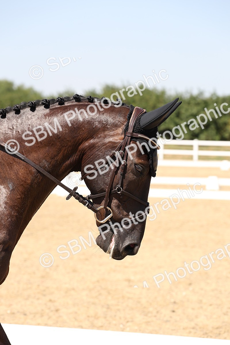 SBM_005684 - Prelim 4 - 13.34-15.39