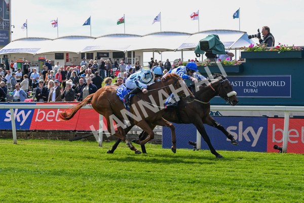140525-Race 1-Almoshher-1599 - Race 1 2.10pm Sky Bet Race To The Ebor Jorvik Handicap