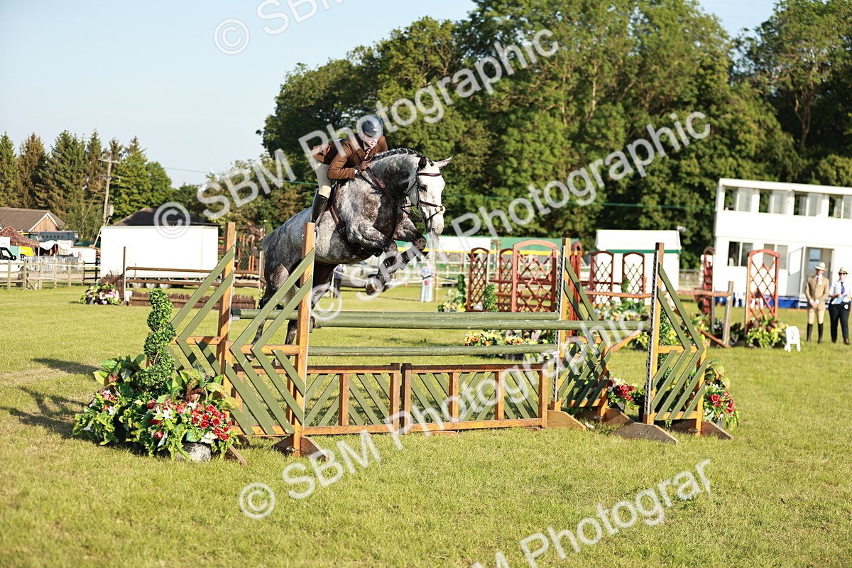 SBM_20346 - Class 117-119 - Sport Horse Working Hunter