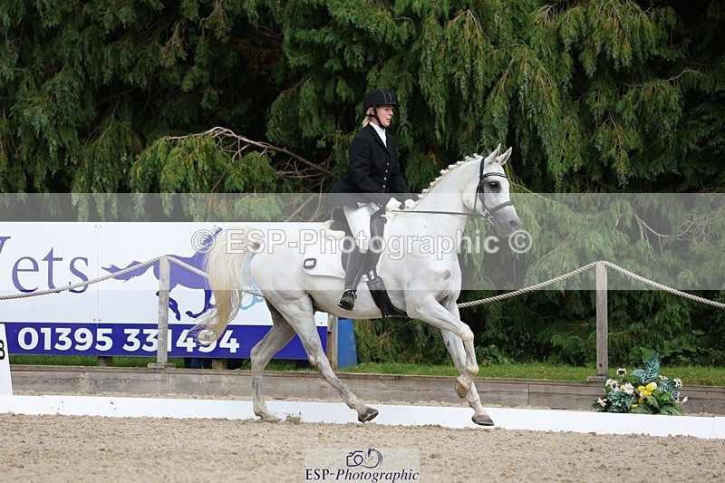 230812-151924-05105 - Cls 5 Novice Bronze 15.00 to End