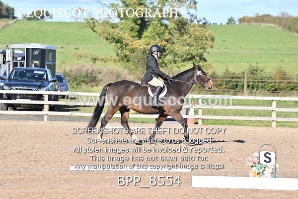 BPP_8554 - SHORT ARENA INTRO 3