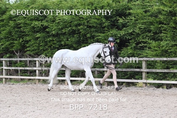 BPP_7218 - RING 1  (RIDDEN HORSES / IN HAND / VETERAN ETC)