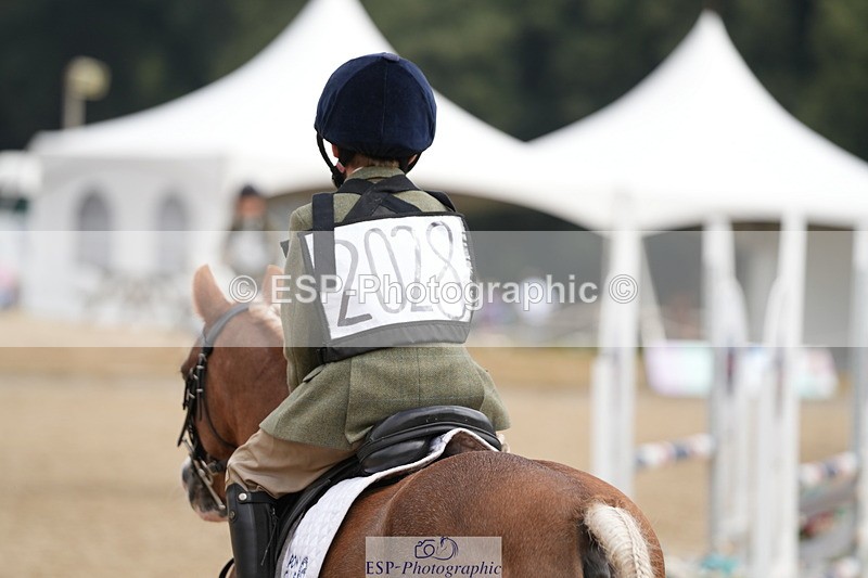 250824A-114308-35659 - 2028-Harry.Honeyball-Sardis.Cassius