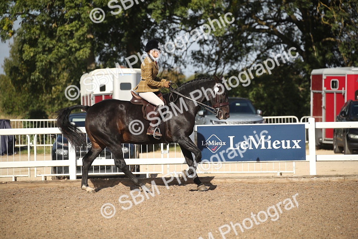 SBM_22768 - Class 602 - 2026 Area - Ridden Veteran
