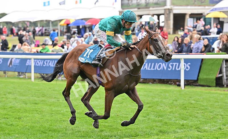 200826-135 Prizeland - Race 5 16.10pm British EBF & Sir Henry Cecil Galtres Stakes